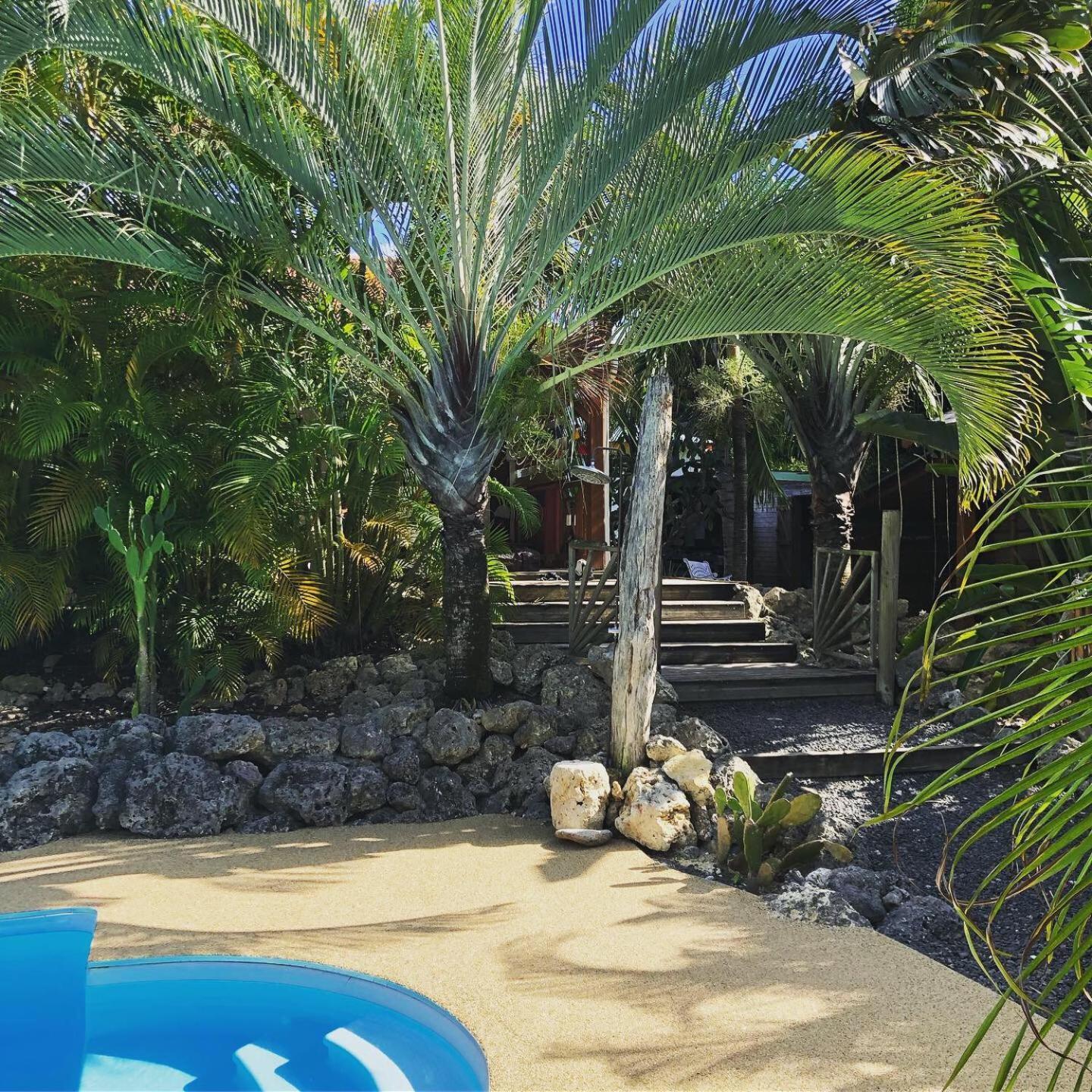 Coin Paradis Villa Anse-Bertrand Dış mekan fotoğraf